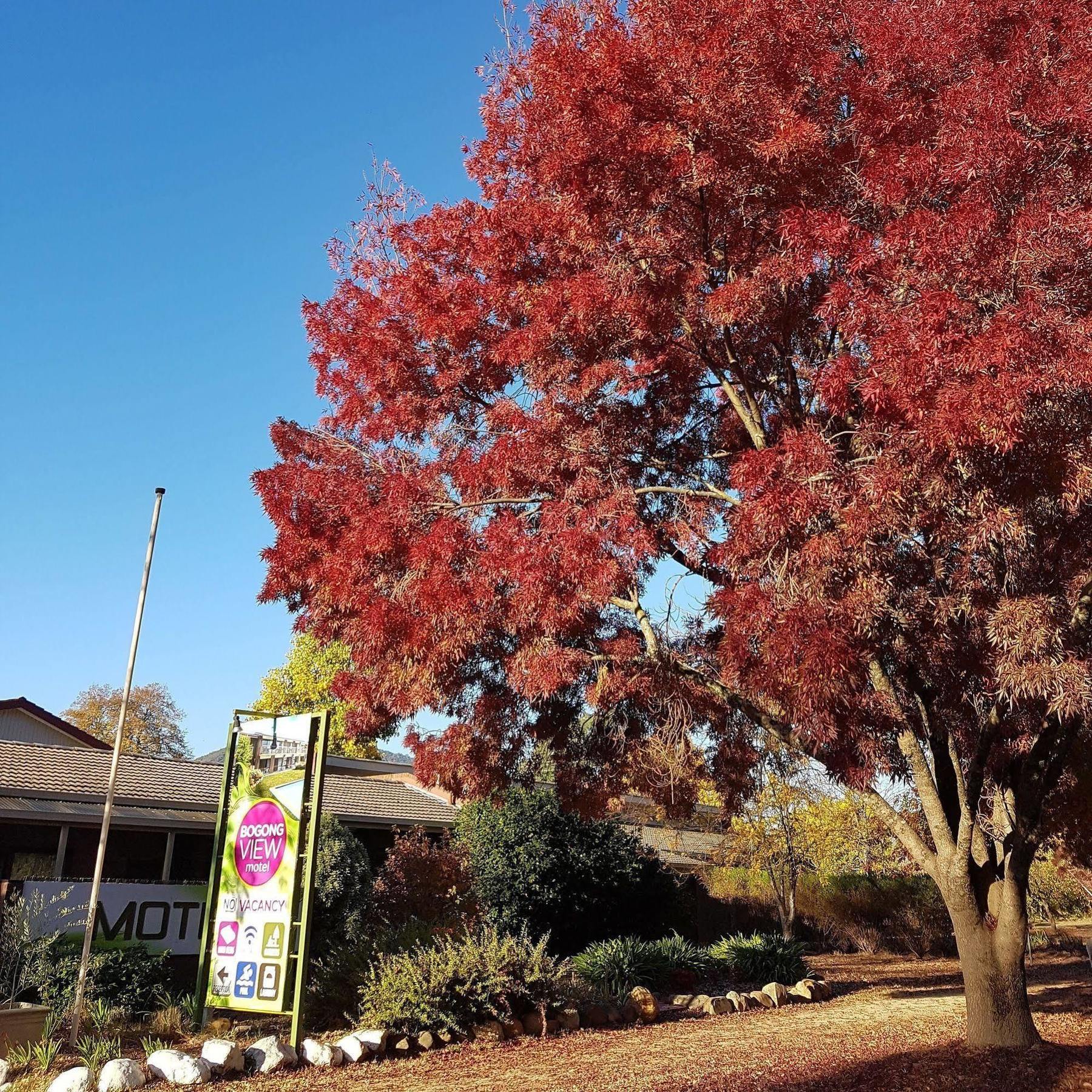 Motel Sierra - Bright Exterior photo